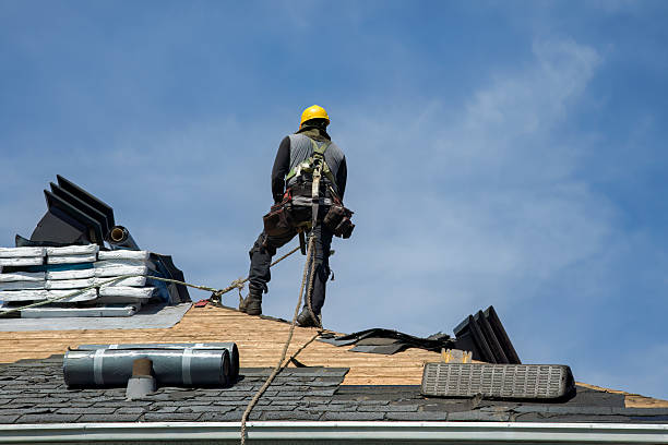Professional Roofing technician working in Dixon, KY